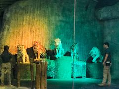 -清迈夜间动物园