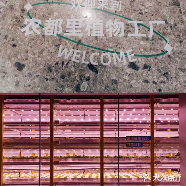 广州花城汇🌶亲子活动科技农场🥬农都里