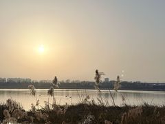 -绿堤公园