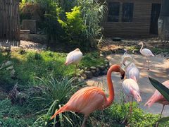 -昆明动物园