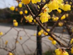 -宝界山林公园