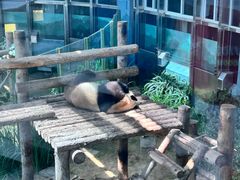 -大连森林动物园