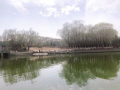 -大兴滨河森林公园