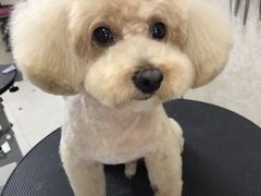 -乐琪宠物(青塔西路店)