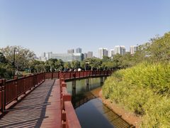 -福田红树林生态公园