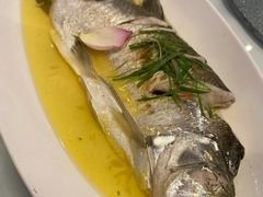 清蒸大白鱼-松鹤楼·非遗·苏帮菜(融科店)