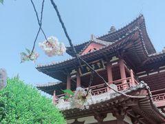-西安青龙寺遗址景区
