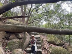 -青芝山风景名胜区