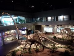 -自贡恐龙博物馆