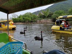 -无锡动物园·太湖欢乐园