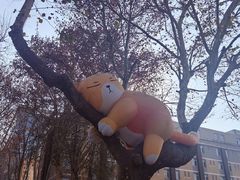 -西安电影制片厂