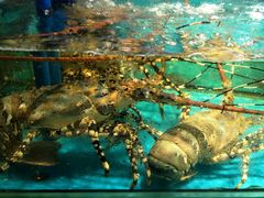 -学府海鲜批发市场