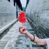 恭王府yyds!