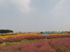 -江苏三台山国家森林公园