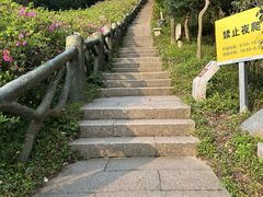 -梧桐山风景名胜区