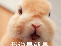 -1点点(晒布店)