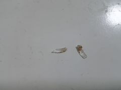 -成都棕南医院·妇科