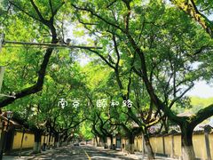 -颐和路民国时期公馆风貌区