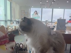 -亚美视光眼镜店(重庆路活力城店)