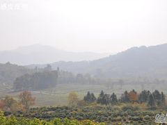 -塔川景区