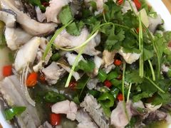 凉拌鱼-郑姐私房菜•家常菜