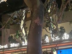 -桂满陇·海市蜃楼·黑金(国金店)