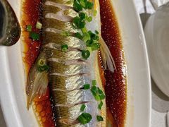 -金美华轩(东方路齐鲁店)