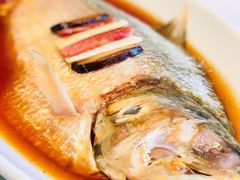 酒蒸鲥鱼-蝶园·装修中(BFC外滩金融中心店)