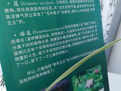 -上海植物园-4号门售票处