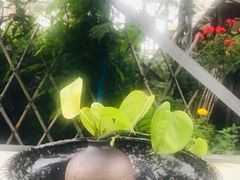 -泸州唯逸酒店(大山坪警察学院店)