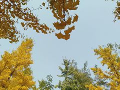 -绿堤公园