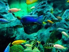-常州海昌海洋探索馆