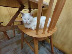 -正南齐北·老街糯米团(洪崖洞店)
