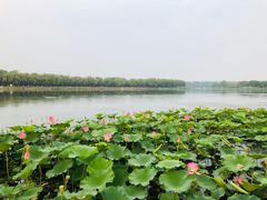 -素心小筑(后沙裕镇店)