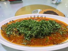 -老字号怡玺·藿香雅鱼(20年雅安店)