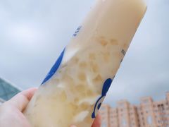 冰乌龙(双皮奶版)-茶百道(江北万达金街店)