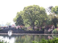 -无锡蠡湖国家湿地公园-蠡园