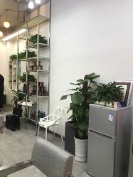 -YDO SALON