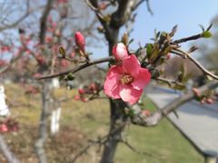 -玄武湖景区-情侣园游乐场