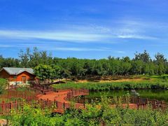 -大兴滨河森林公园