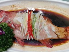 -小贝壳酒楼(经九路店)