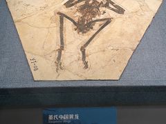 -辽宁省博物馆