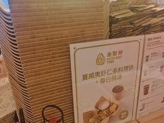 -油梨树 AVOCADO TREE(亮马桥店)