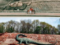-哈尔滨北方森林动物园