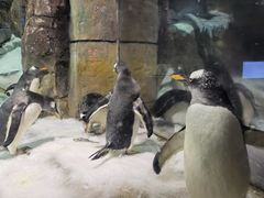 -波塞冬海底世界
