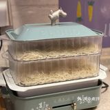 排骨焖面