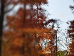 -梁鸿国家湿地公园