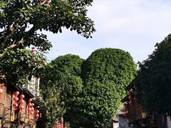 -三坊七巷历史文化街区