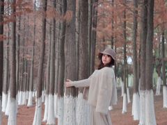 -艾溪湖湿地公园