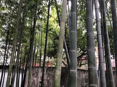 -穹六人间 people 6(岳阳路店)